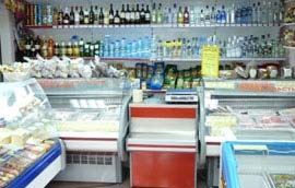Уничтожение тараканов, клопов, блох Пенза